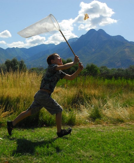 3805080020_0b801da4ae_z