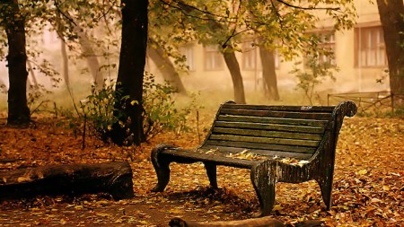 Walk-of-the-Not-Quite-Dead