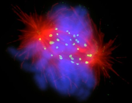 8-Bit Copy of Copy of slide2 - 3dapi