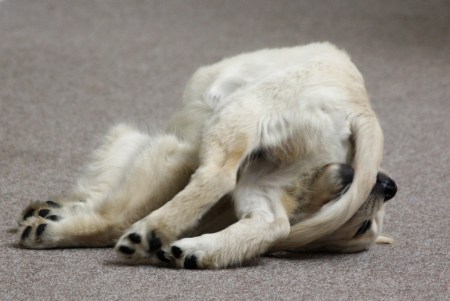 4885899714_e47d249b51_b