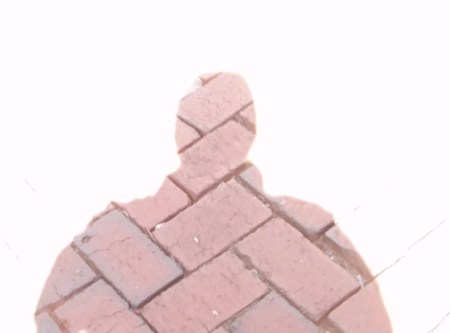 My Shadow on Montevallo