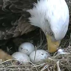 b8ba83715c8720987492a1ffef30b98d