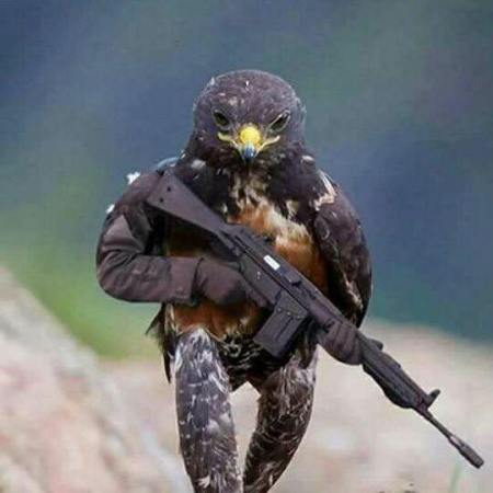 16113955_10206804169857279_742698075450764362_n